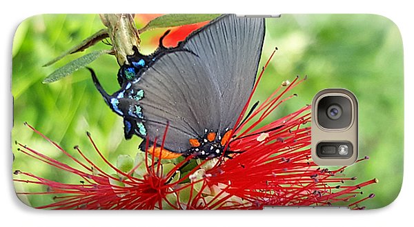 Butterfly Dances - Phone Case