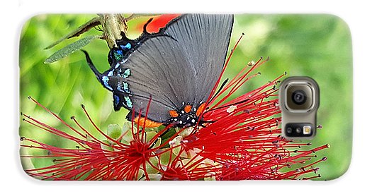 Butterfly Dances - Phone Case
