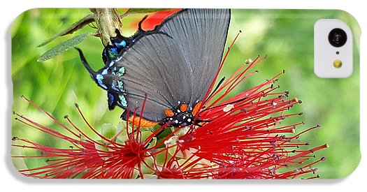 Butterfly Dances - Phone Case