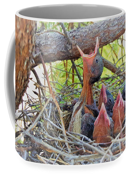 Help Feeds The Baby Birds - Mug