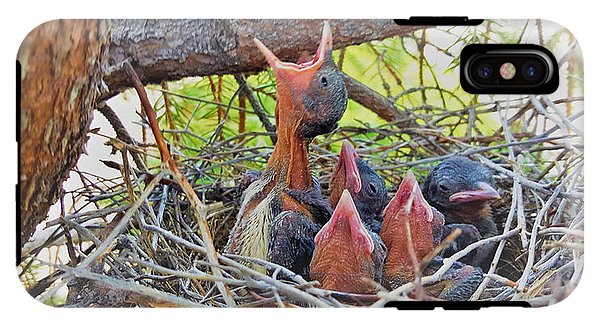 Help Feeds The Baby Birds - Phone Case
