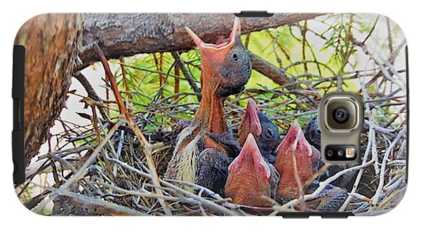 Help Feeds The Baby Birds - Phone Case