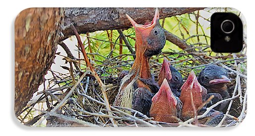 Help Feeds The Baby Birds - Phone Case
