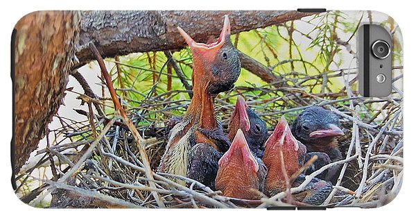 Help Feeds The Baby Birds - Phone Case
