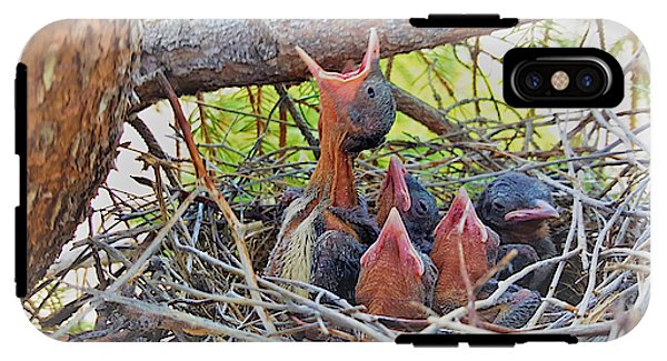 Help Feeds The Baby Birds - Phone Case