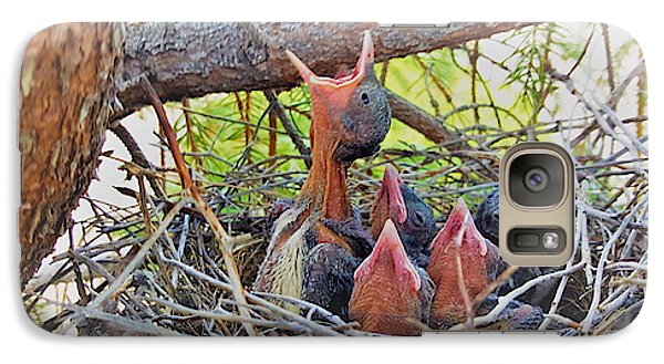 Help Feeds The Baby Birds - Phone Case