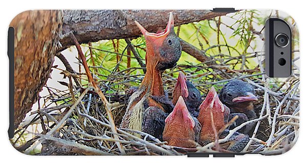 Help Feeds The Baby Birds - Phone Case