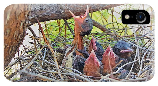 Help Feeds The Baby Birds - Phone Case