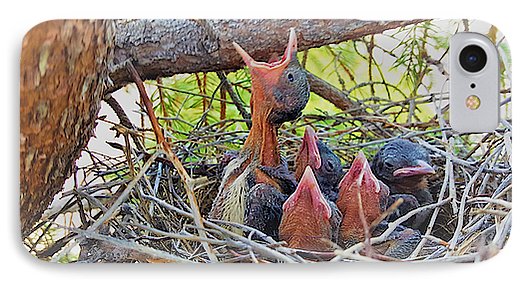 Help Feeds The Baby Birds - Phone Case