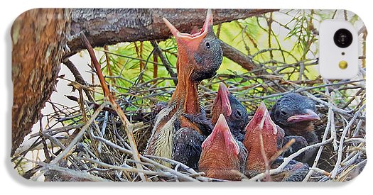 Help Feeds The Baby Birds - Phone Case