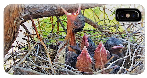 Help Feeds The Baby Birds - Phone Case