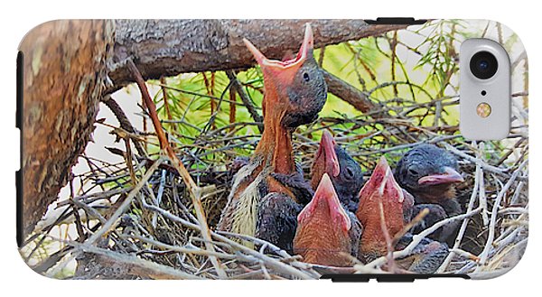 Help Feeds The Baby Birds - Phone Case