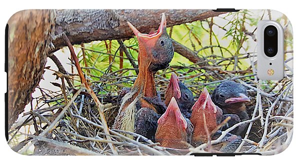 Help Feeds The Baby Birds - Phone Case