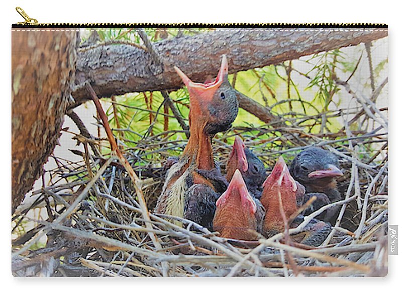 Help Feeds The Baby Birds - Carry-All Pouch