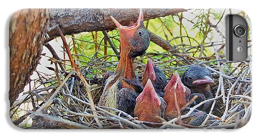 Help Feeds The Baby Birds - Phone Case