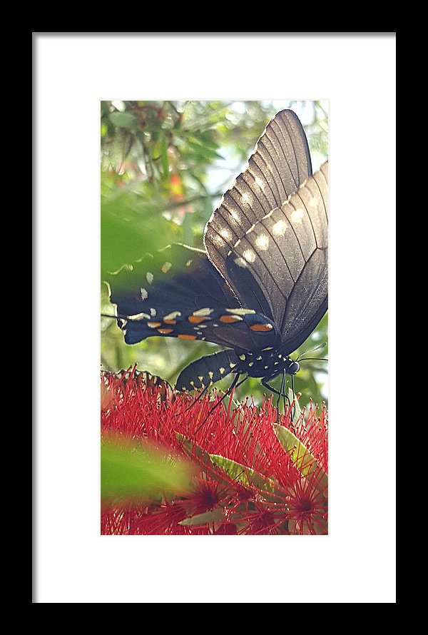 I Am Beautiful - Framed Print