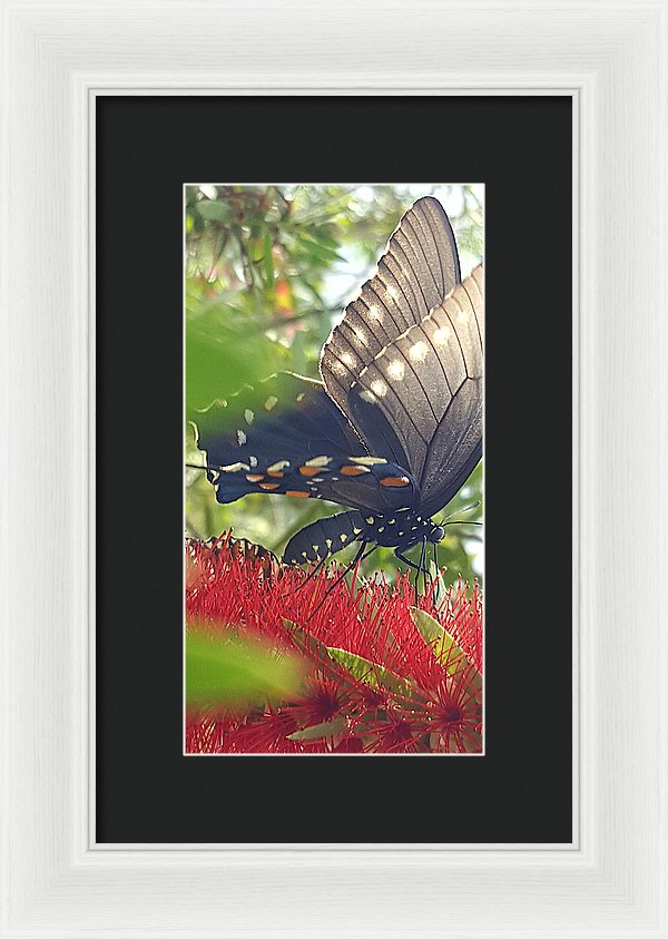 I Am Beautiful - Framed Print
