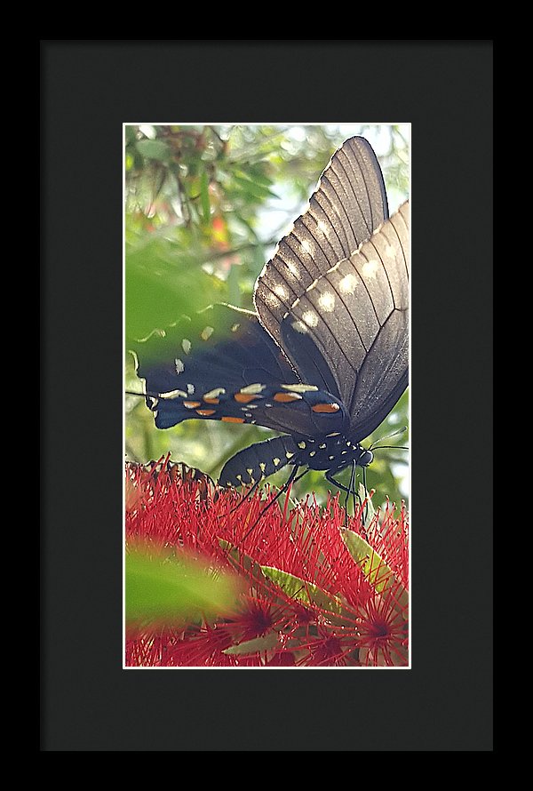 I Am Beautiful - Framed Print