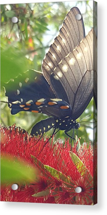 I Am Beautiful - Acrylic Print