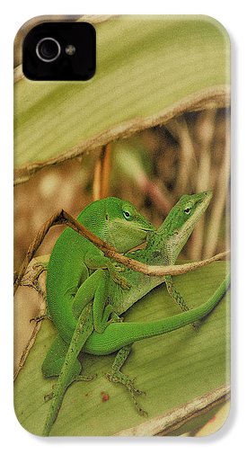 Love Happens - Phone Case