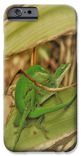 Love Happens - Phone Case