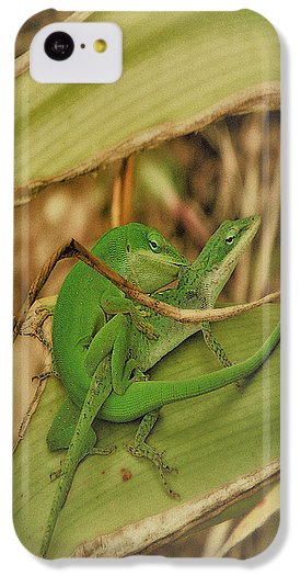 Love Happens - Phone Case
