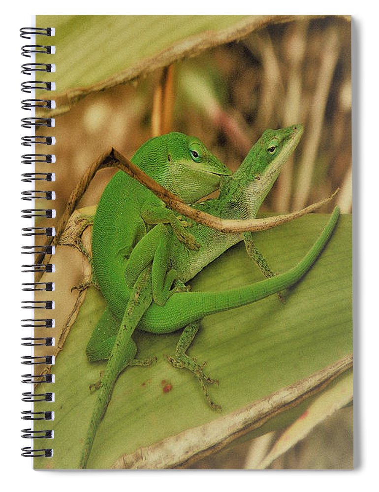 Love Happens - Spiral Notebook