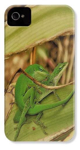 Love Happens - Phone Case