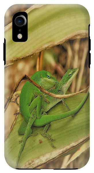 Love Happens - Phone Case