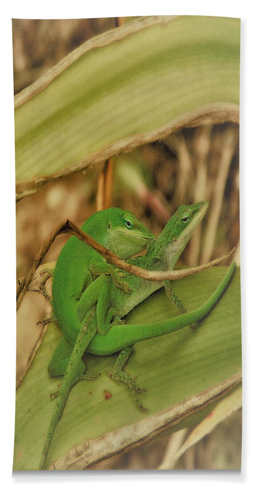 Love Happens - Beach Towel