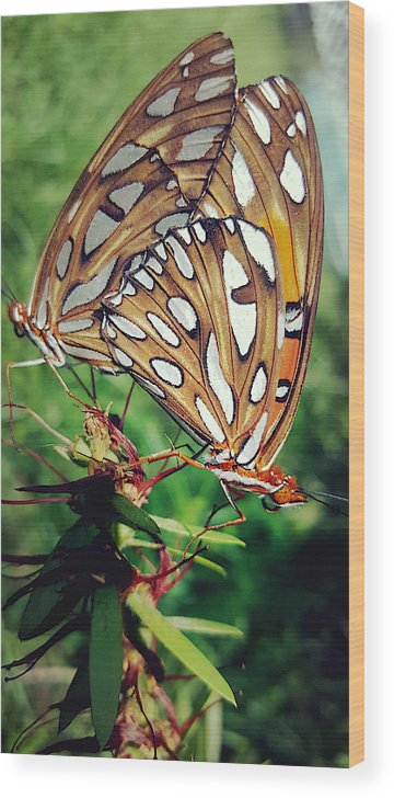 Love Is A Beautiful Thing - Wood Print