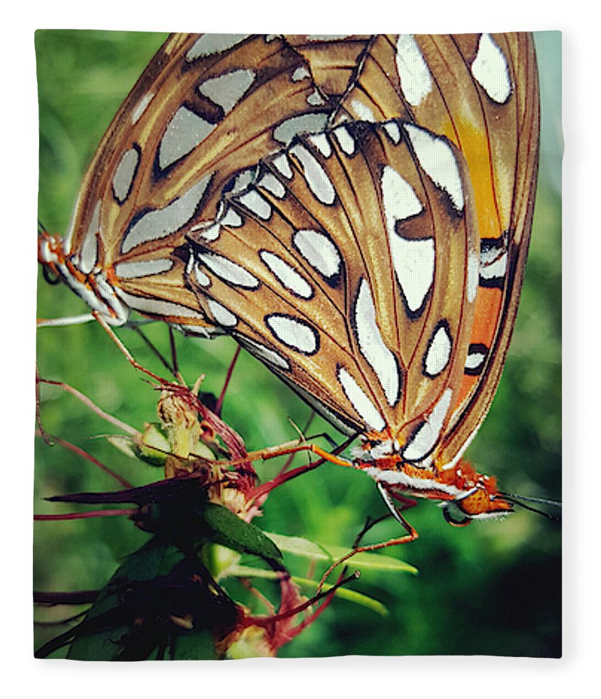 Love Is A Beautiful Thing - Blanket