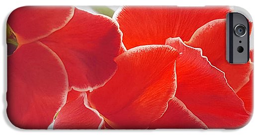 Red The Color Of Love - Phone Case