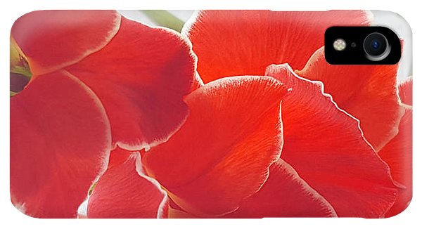 Red The Color Of Love - Phone Case