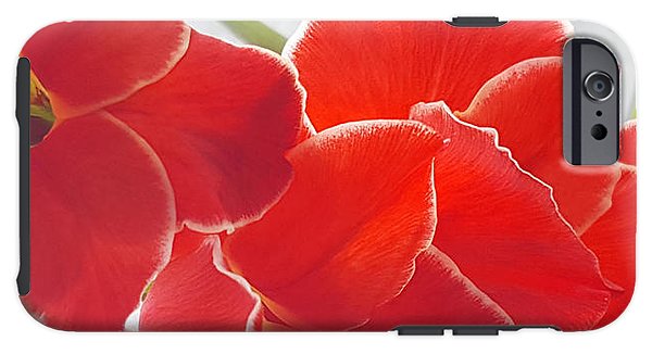 Red The Color Of Love - Phone Case