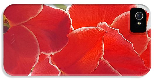 Red The Color Of Love - Phone Case