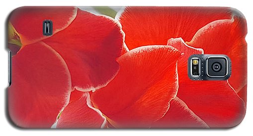 Red The Color Of Love - Phone Case