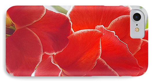 Red The Color Of Love - Phone Case