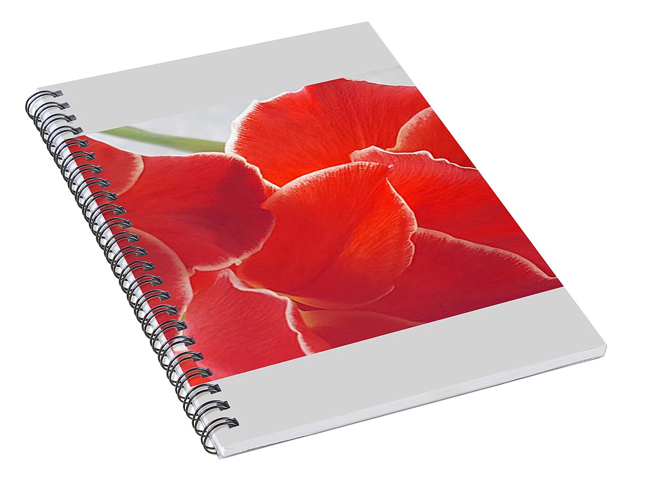 Red The Color Of Love - Spiral Notebook