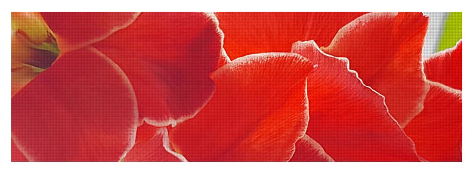Red The Color Of Love - Yoga Mat