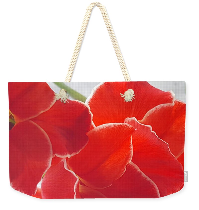 Red The Color Of Love - Weekender Tote Bag