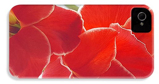 Red The Color Of Love - Phone Case
