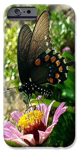 Stop And Smell The Roses - Phone Case