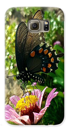 Stop And Smell The Roses - Phone Case