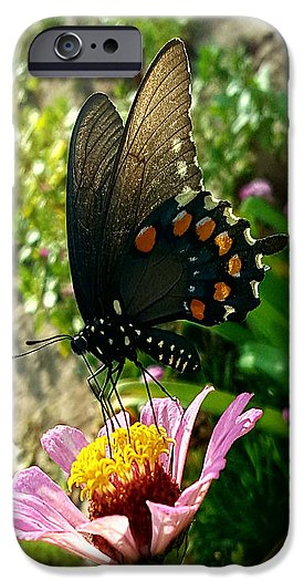 Stop And Smell The Roses - Phone Case