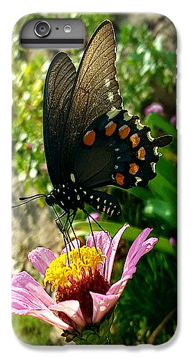 Stop And Smell The Roses - Phone Case