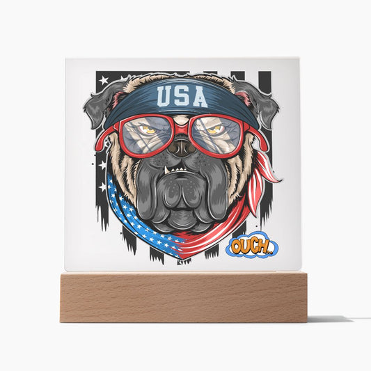 USA DOG-OUCH-DOG LOVER-Square Acrylic Plaque! 💕