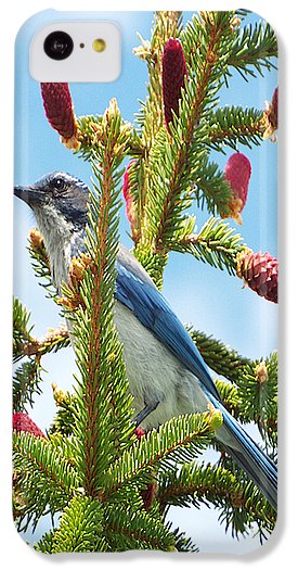 Blue Jay Watches - Phone Case