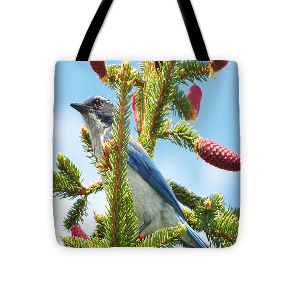 Blue Jay Watches - Tote Bag