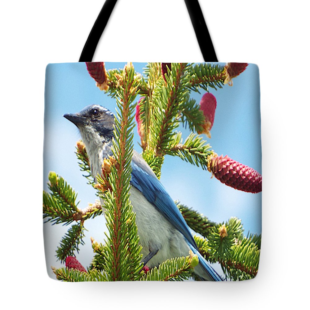 Blue Jay Watches - Tote Bag